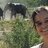 Normal_meelephants